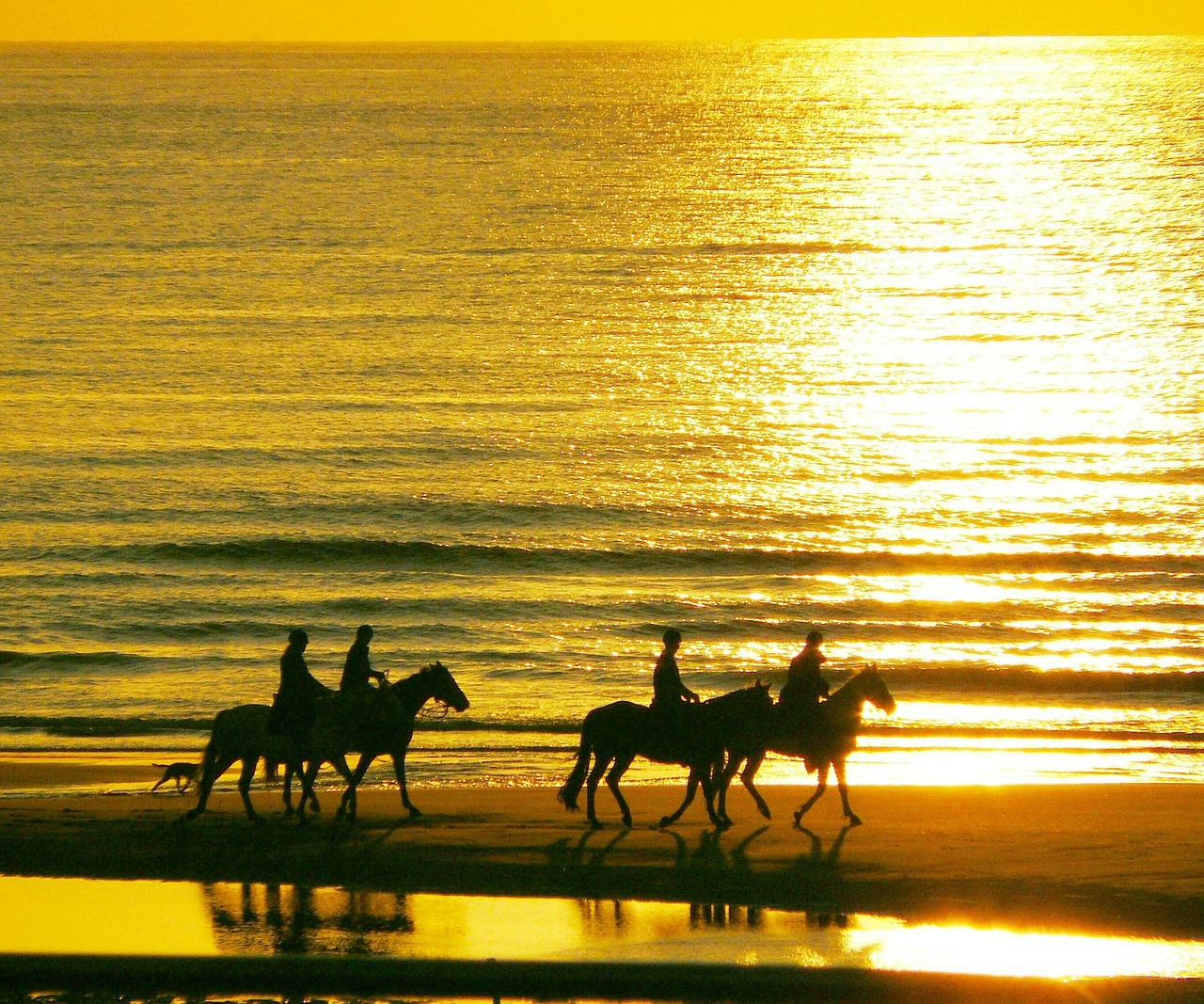 Vacanze a Cavallo in Toscana - Castello Bonaria